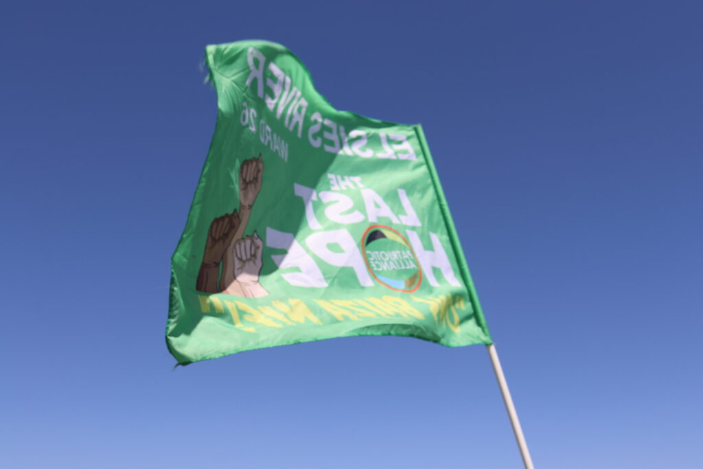Why I advise those who ask me what party to vote for on May 29, vote for the Patriotic Alliance [PA] 2024