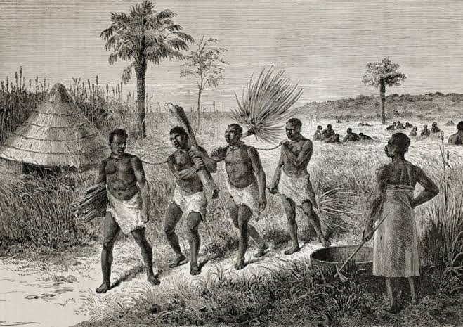Advanced economics of Southern Africa and slave trade